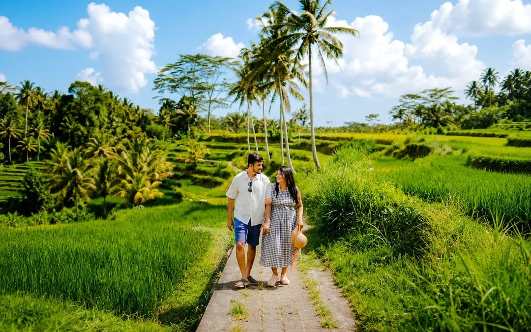 Ubud Private Tour with Tickets: Ubud Monkey Forest, Tegalalang Rice Terrace and Waterfalls Image 4