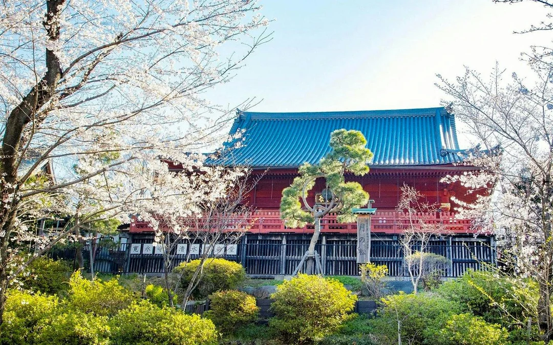 Ueno Park & Tokyo National Museum Private Tour Image 4