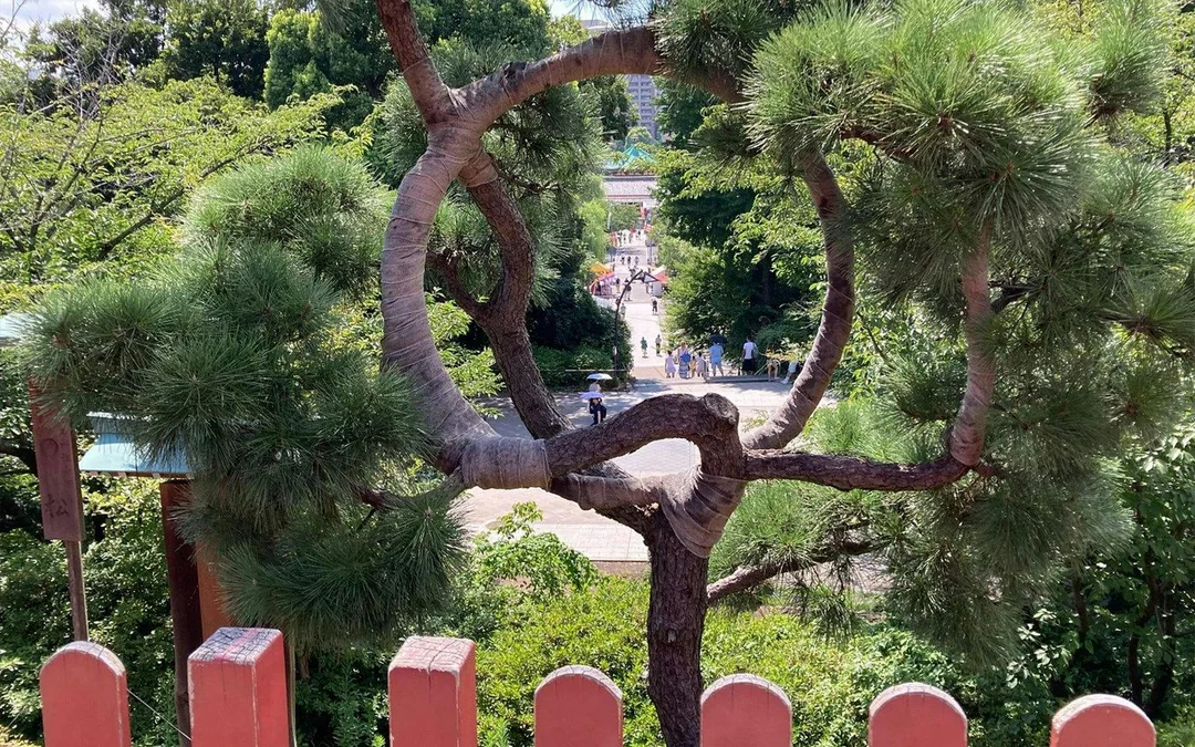 Ueno Park & Tokyo National Museum Private Tour Image 5
