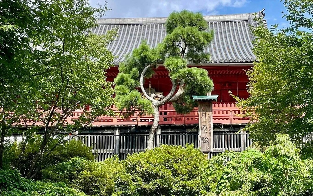 Ueno Park & Tokyo National Museum Private Tour Image 7
