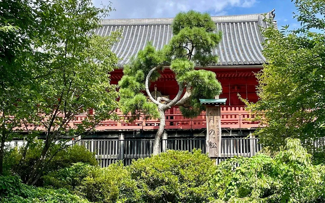 Ueno Park & Tokyo National Museum Private Tour Image 7