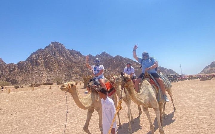 Ultimate Desert Safari: Quad, Camel Ride & Dinner Show Image 7