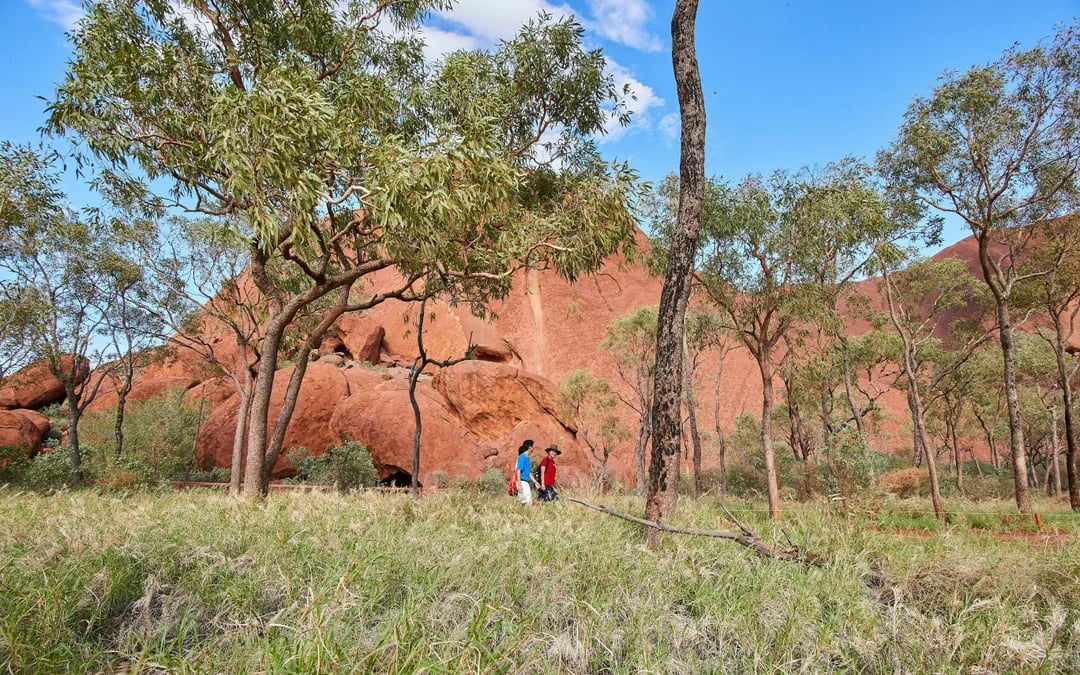 Uluru Sunrise Guided Walking Tour with Picnic Breakfast Image 4