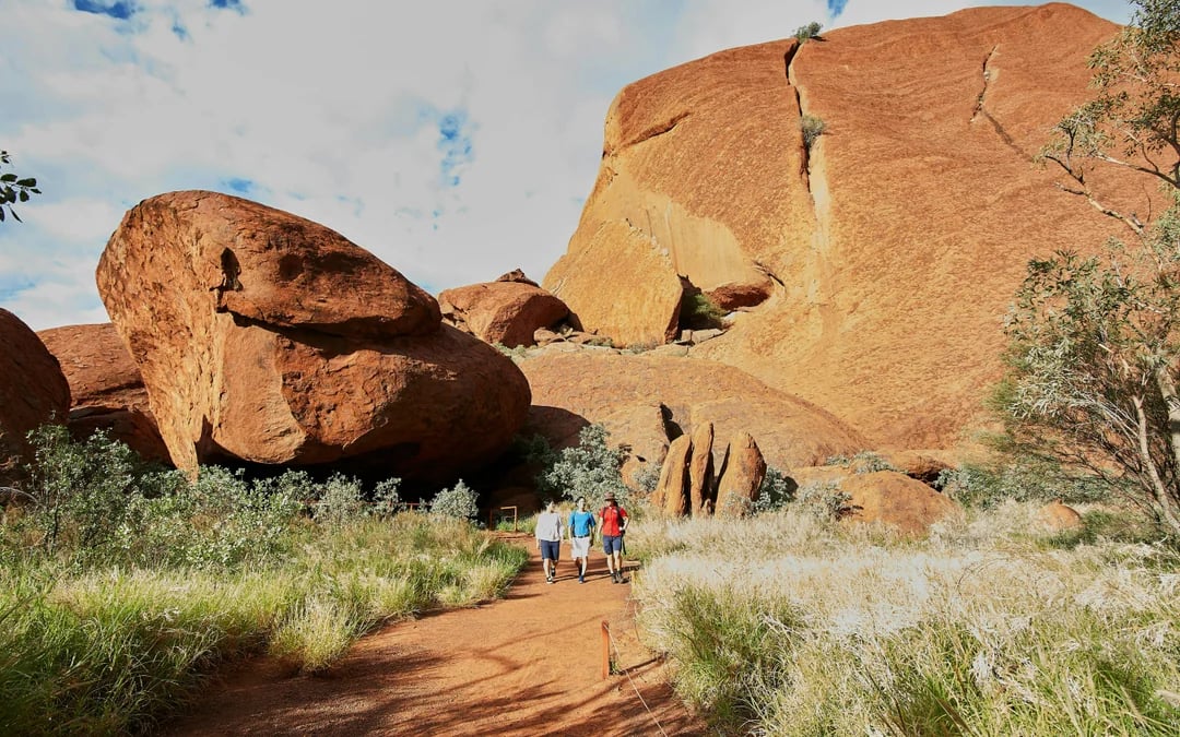 Uluru Sunrise Guided Walking Tour with Picnic Breakfast Image 7