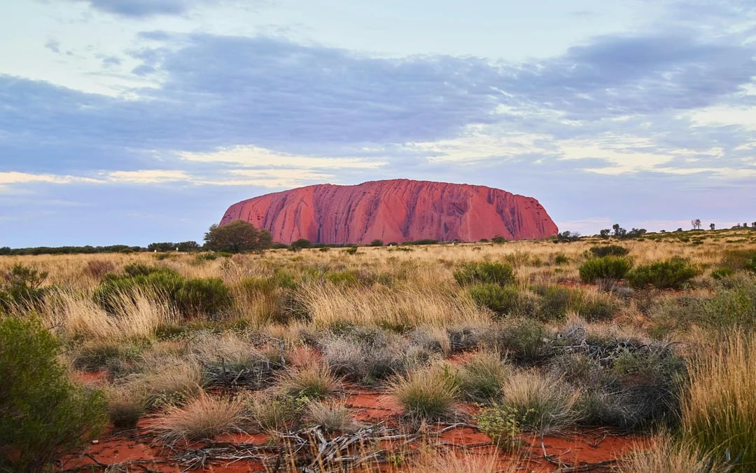 Uluru Sunset & Stargazing Tour with BBQ Dinner Image 6