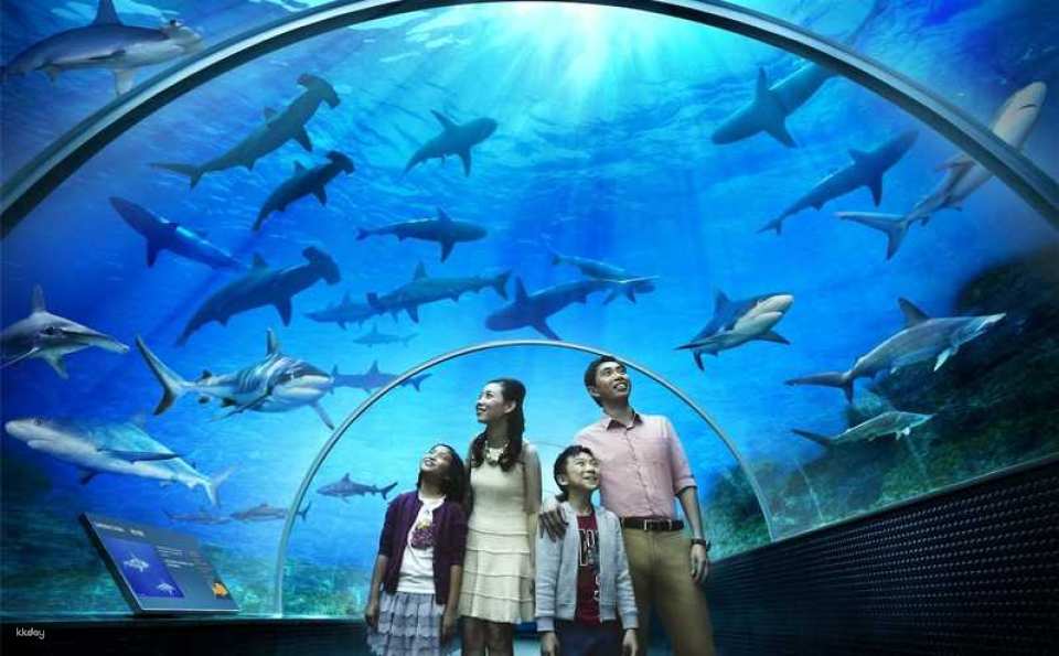 Underwater World Pattaya Experience | Thailand