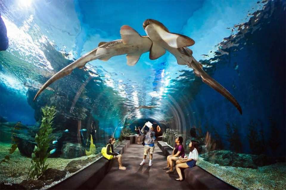 Underwater World Pattaya Experience | Thailand