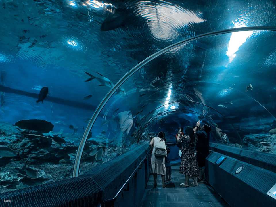 Underwater World Pattaya Experience | Thailand