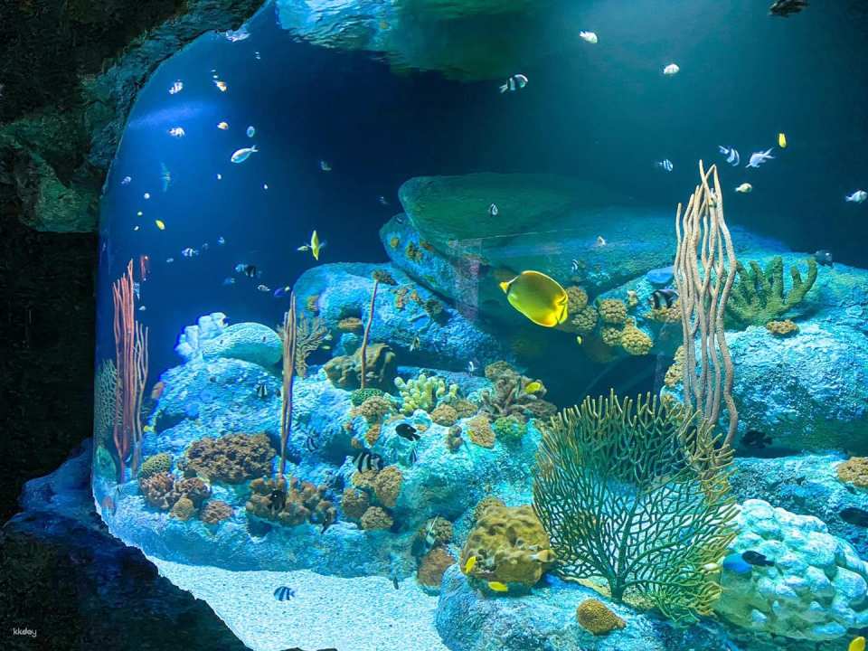 Underwater World Pattaya Experience | Thailand