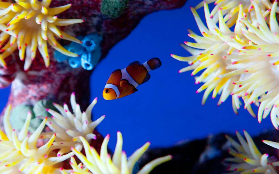 Underwater World Pattaya Image 3