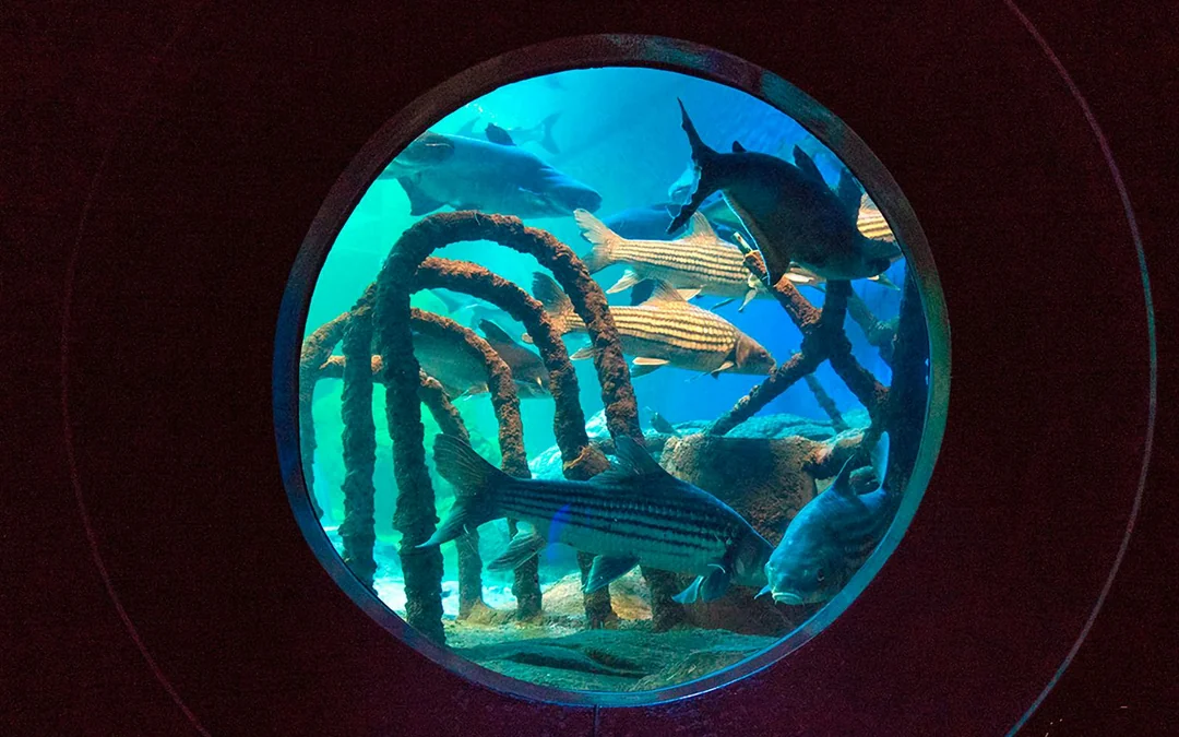 Underwater World Pattaya Image 4