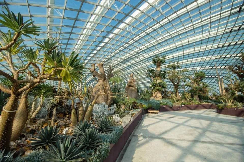 COMBO: Universal Studios Singapore + Gardens by the Bay Ticket
