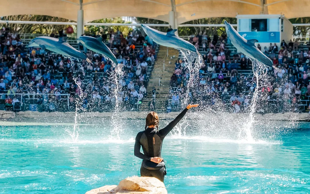 Unlimited 5-Day Theme Parks Pass: Movie World, Sea World & Wet'n’Wild Image 3