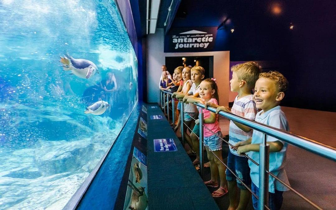 Unlimited 7-Day Theme Parks Pass: Movie World, Sea World, Wet'n’Wild & Paradise Country Image 2