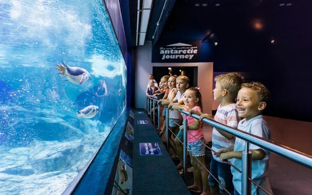 Unlimited Multi-Day Theme Parks Pass: Movie World, Sea World & Wet'n’Wild Image 9