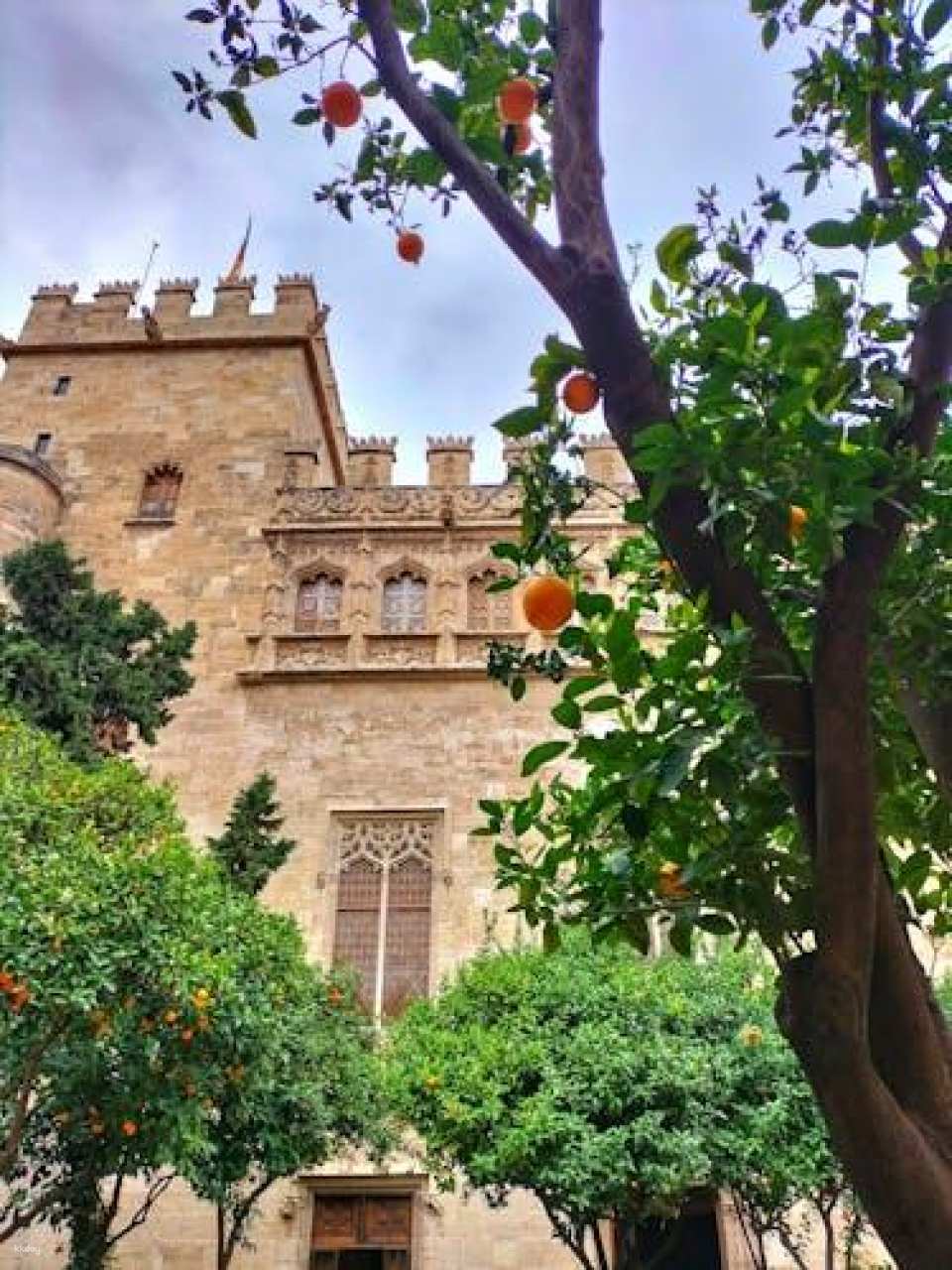 Valencia Spanish tour with entry to La Lonja, Catedral and San Nicolás