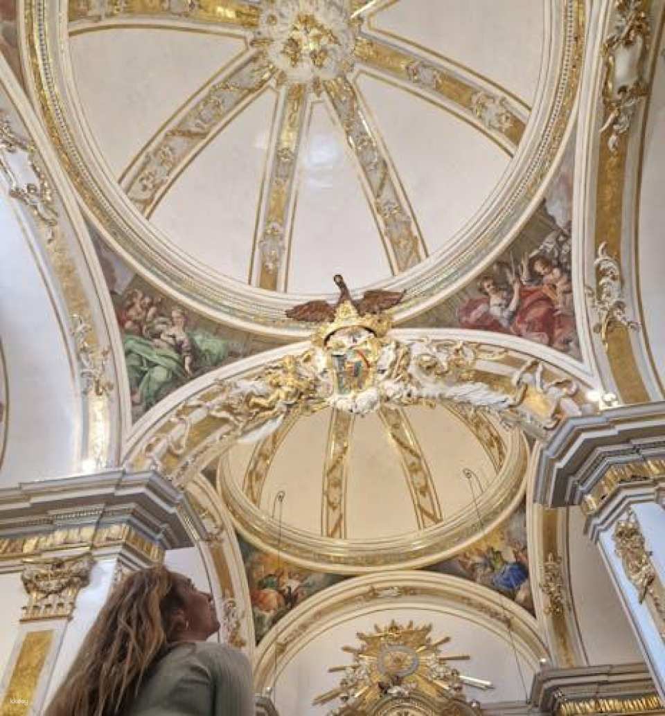 Valencia Spanish tour with entry to La Lonja, Catedral and San Nicolás