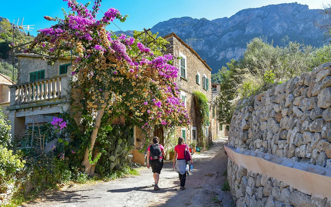 Valldemossa and Soller Day Tour with Tram Ride Image 5