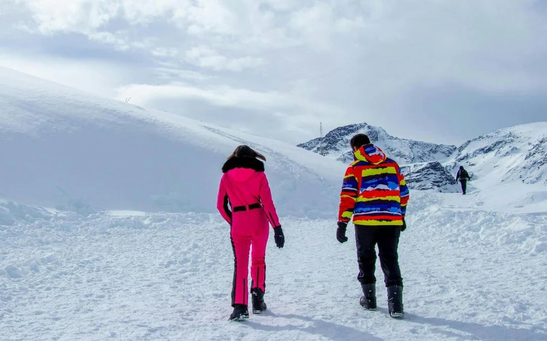 Valle Nevado Tour Image 7