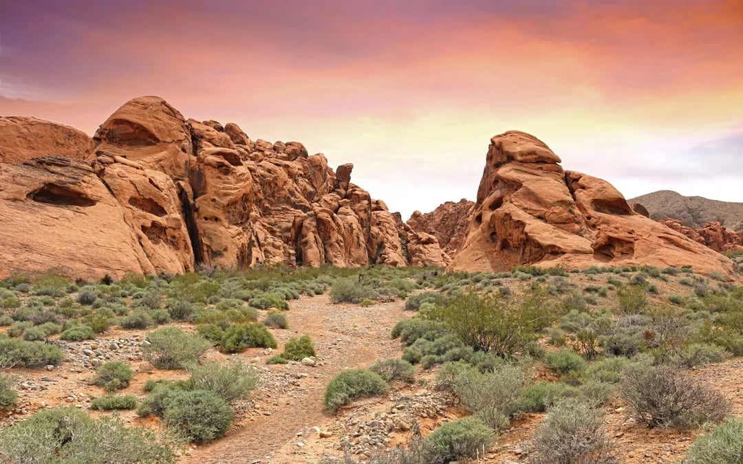 Valley of Fire and Lost City Museum Small-Group Guided Tour from Las Vegas Image 1