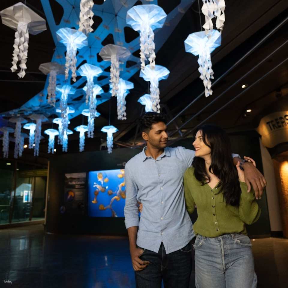 Vancouver Aquarium: Admission Ticket | Canada