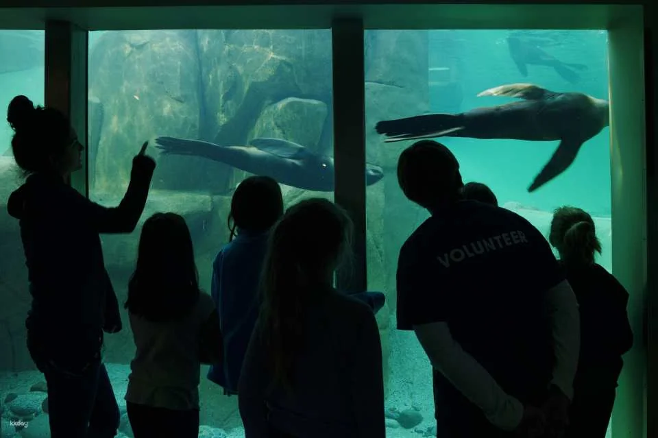 Vancouver Aquarium: Admission Ticket | Canada