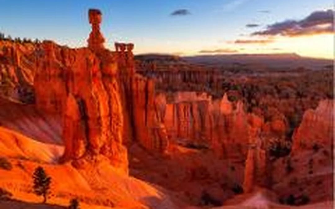 Vegas: Bryce & Zion Luxury Boutique Scenic Tour with Lunch Image 5