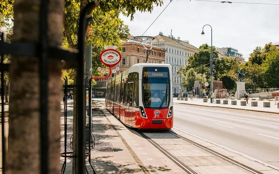 Vienna City Card: Unlimited Public Transport & Discounts Image 3