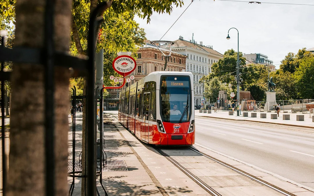 Vienna City Card: Unlimited Public Transport & Discounts Image 3