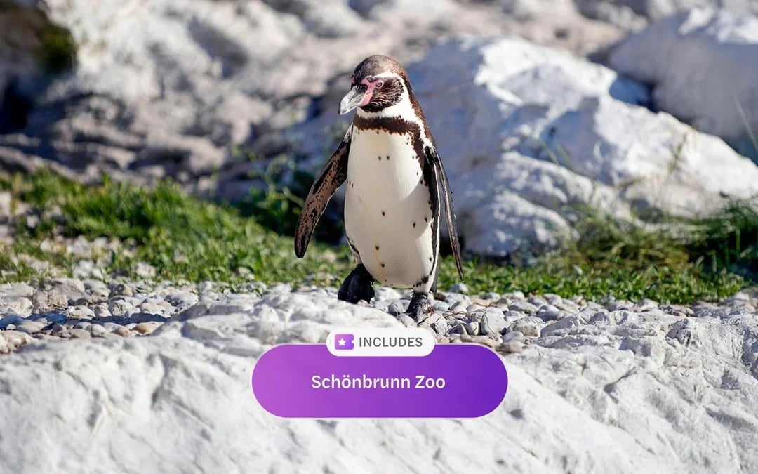 Vienna Flexi Pass: Choose 2/3/4/5 Attractions Image 8