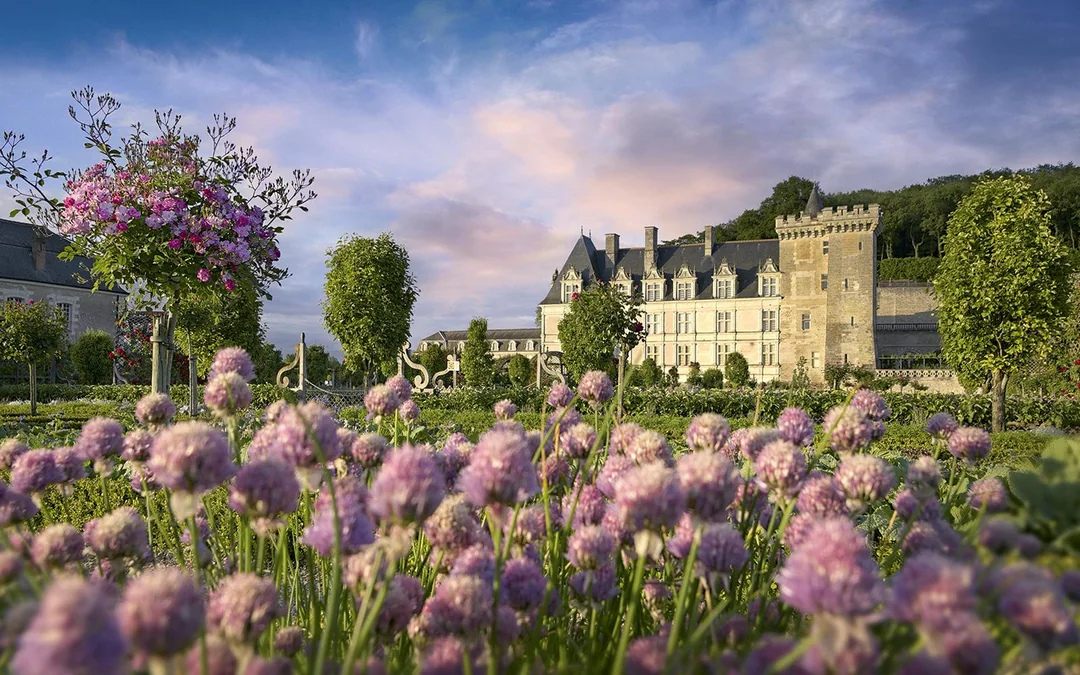 Villandry Castle Gardens-only Ticket Image 1