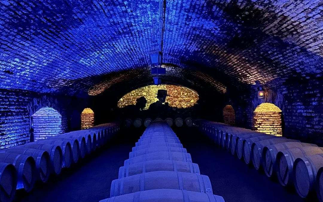 Viña Concha y Toro Nighttime Dinner Show and Guided Tour  Image 7