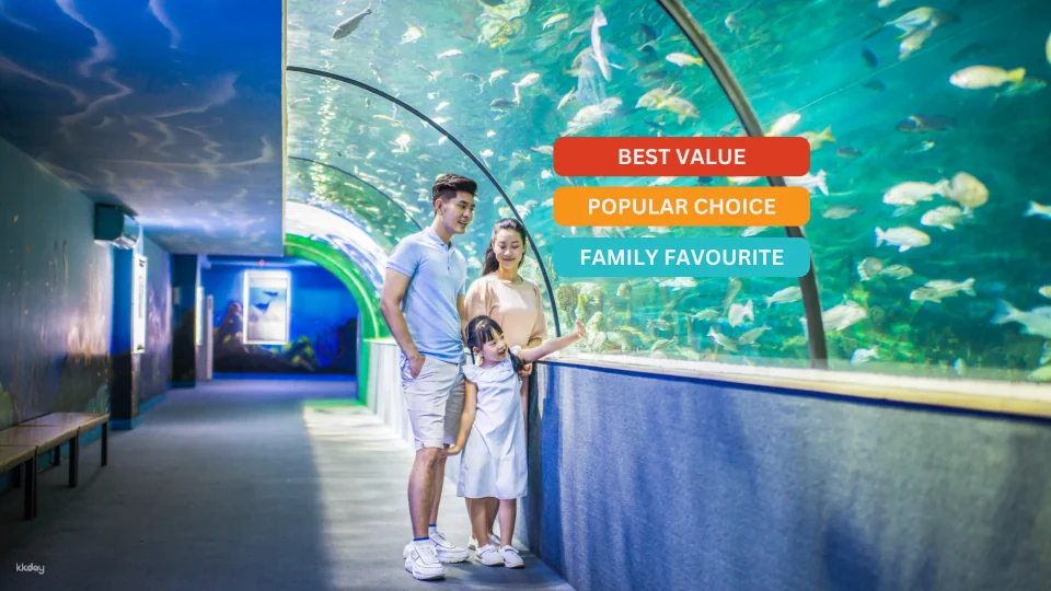 VinKE & Vinpearl Aquarium Times City Ticket | Hanoi