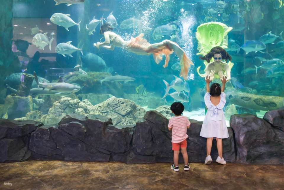 VinKE & Vinpearl Aquarium Times City Ticket | Hanoi