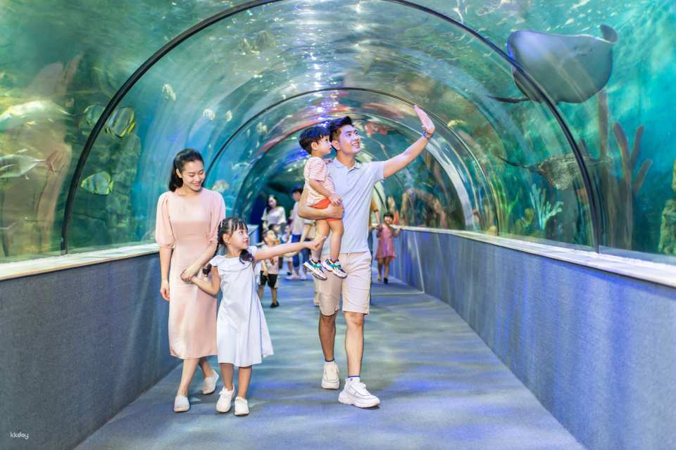 VinKE & Vinpearl Aquarium Times City Ticket | Hanoi