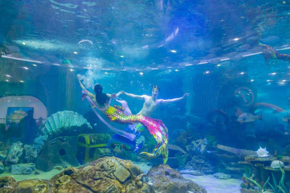 VinKE & Vinpearl Aquarium Times City Ticket | Hanoi