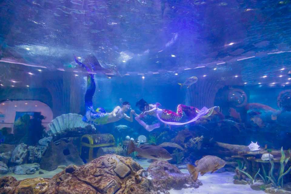 VinKE & Vinpearl Aquarium Times City Ticket | Hanoi