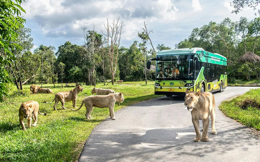 Vinpearl Safari Phu Quoc Entry Ticket Image 5