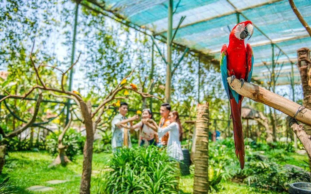 VinWonders Nam Hoi An Theme Park Tickets with Private Round-Trip Transfers Image 1