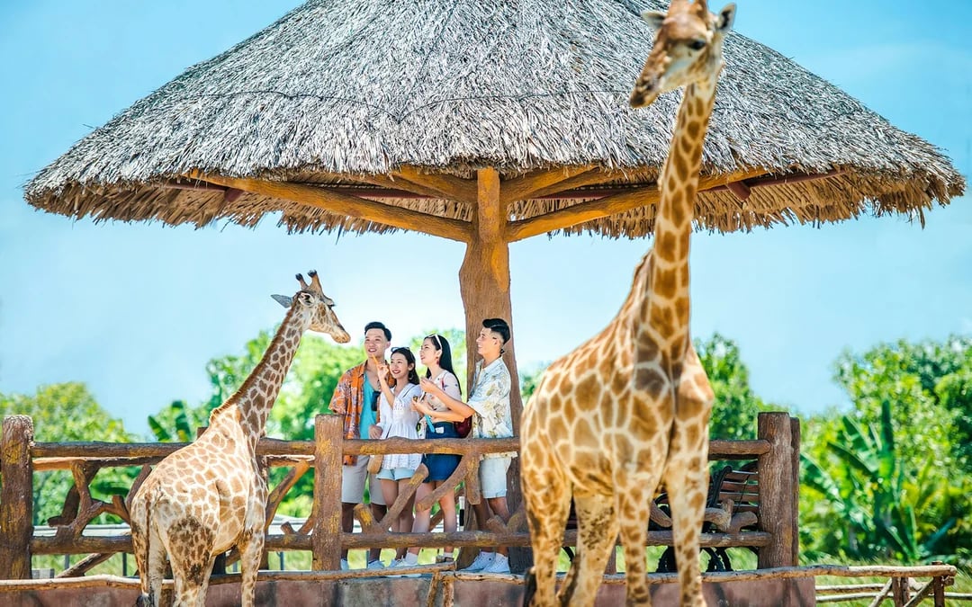 VinWonders Nam Hoi An Theme Park Tickets with Private Round-Trip Transfers Image 2