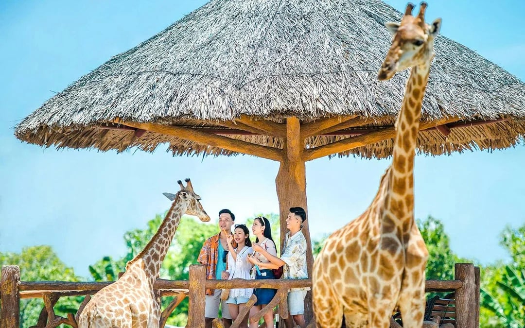 VinWonders Nam Hoi An Tickets Image 2