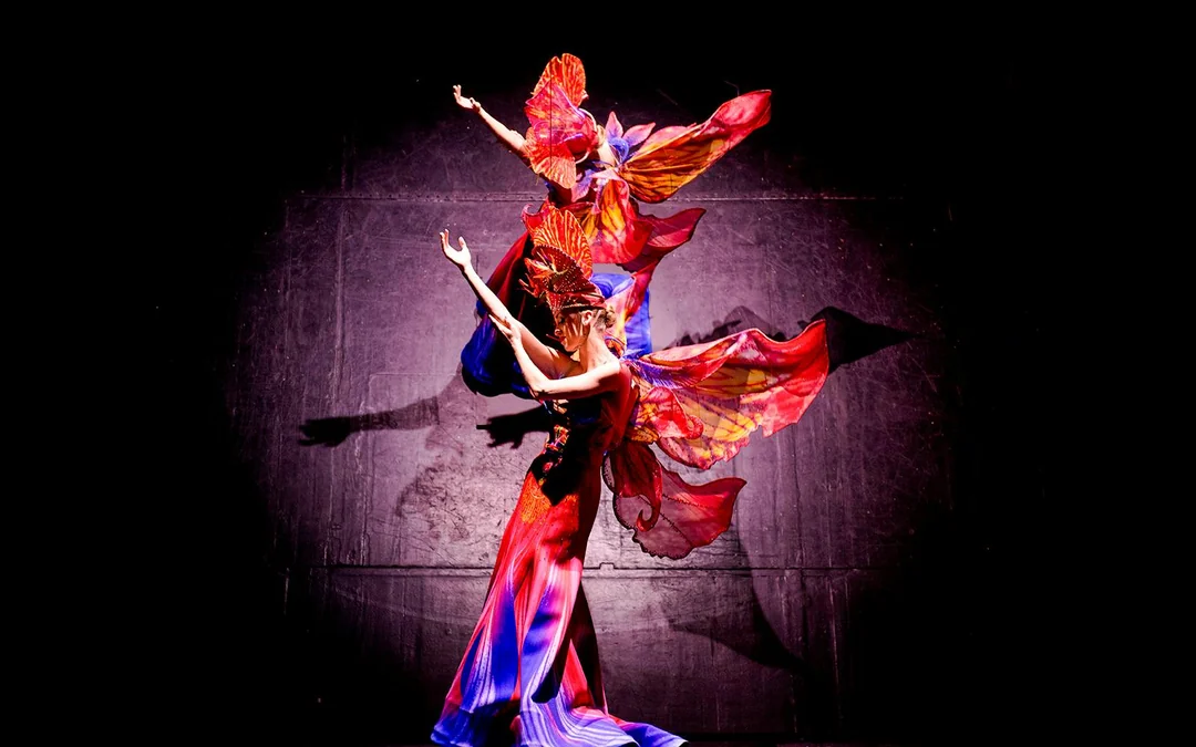 VIP Experience: Paradis Latin Show with Dinner and Champagne Image 2