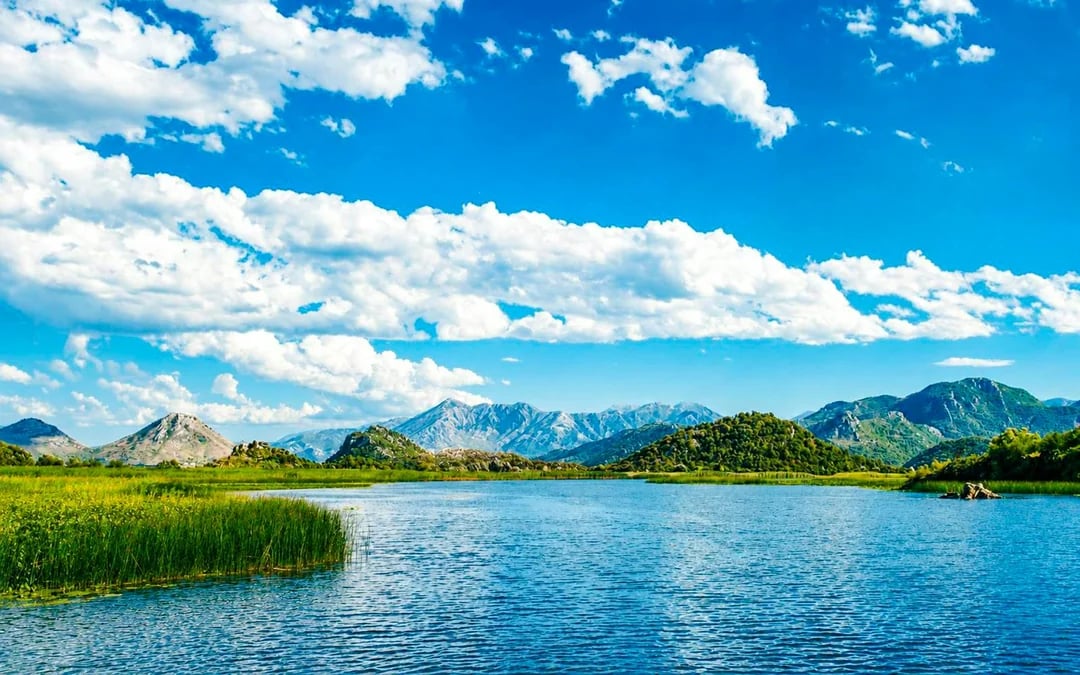 Virpazar: Skadar Lake Self-Guided Kayak Rental Image 2