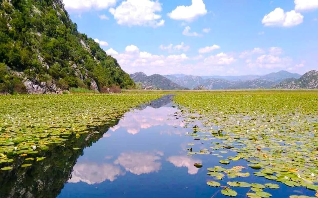 Virpazar: Skadar Lake Self-Guided Kayak Rental Image 4