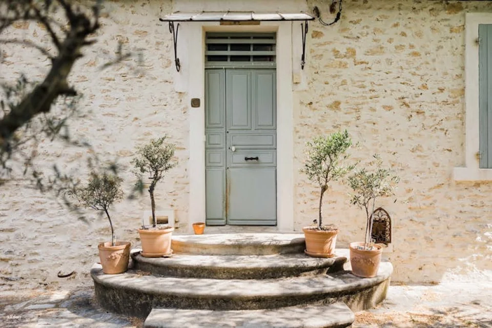 Visit of a lavender field in Aix-en-Provence