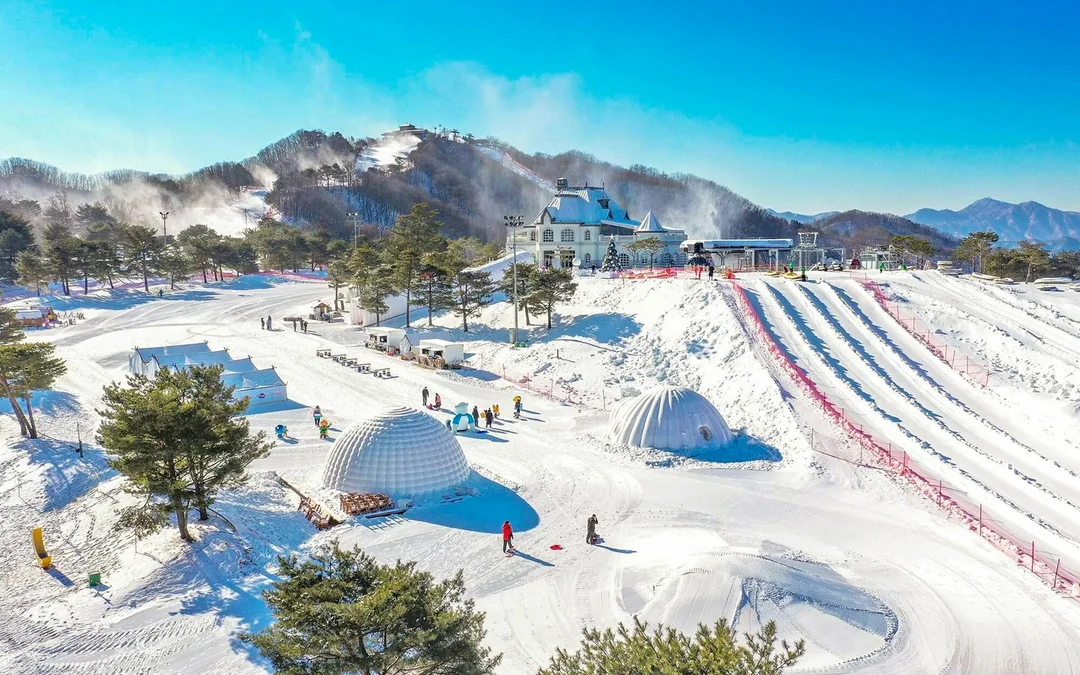Vivaldi Park Ski World Official Pass + Shuttle from Seoul Image 1