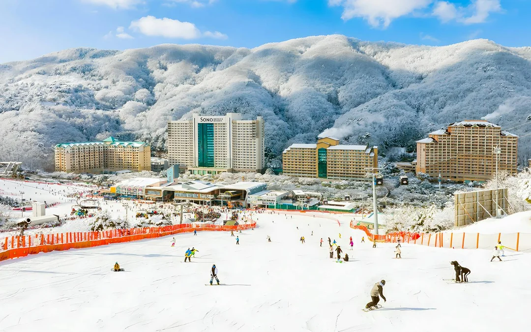 Vivaldi Park Ski World Official Pass + Shuttle from Seoul Image 4