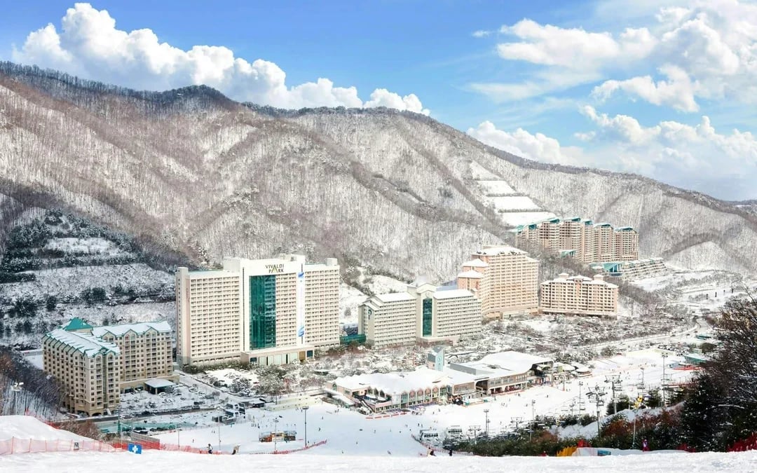 Vivaldi Park Ski World Official Pass + Shuttle from Seoul Image 6
