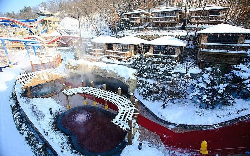 Vivaldi Park Ski World Official Pass + Shuttle from Seoul Image 9