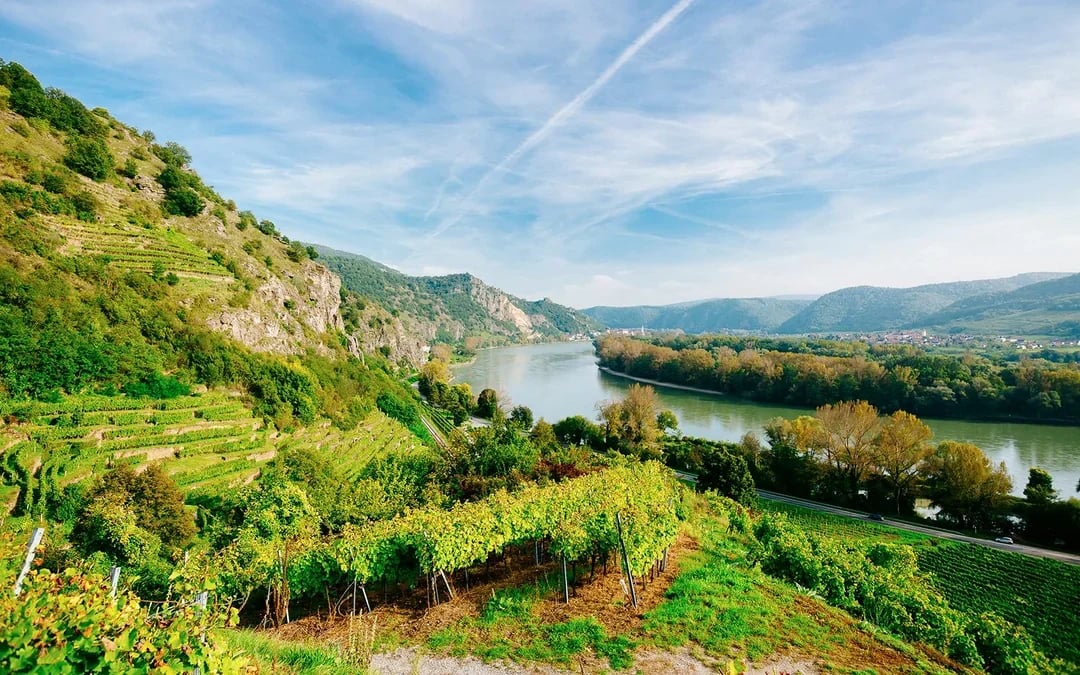 Wachau Day Trip With Free Time in Melk Image 5